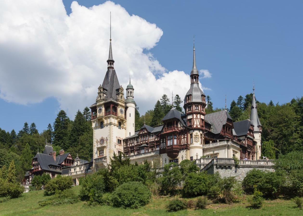 Apartament Mont Blanc Sinaia Esterno foto